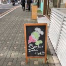 봉쥬르두껍