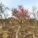 목천농장 이미지