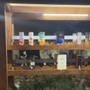 2759 | 부산 한우 오마카세 [스무고개] 내돈내산 솔직후기 | 기념일 추천 맛집