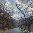 빛나는월악펜션 이미지