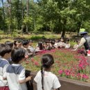 숲속리더유치원 이미지