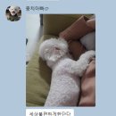 멈무살롱 이미지