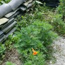 축령산휴림 이미지