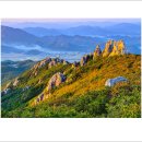 2026-10-24 억새산행..장흥천관산.[금요무박] 이미지