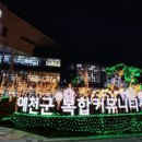 낭만포토 이미지