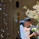 진주 명석 엠컨벤션 본식후기