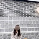 라운지26호텔 | [서울/중구] 명동 자라 카페 후기 호텔 라운지 같은 분위기의 감성 카페 추천:: 자카페