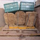 산골염소농장 이미지