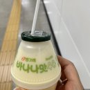 한국 귀국 Day 2. 9월 24일 - 첫 캐럿 친구와 만나 앨범깡과 곱파고 데뷔하기