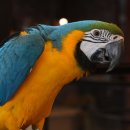 참조은주유소 이미지