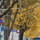 우리동네맛집 이미지