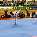 금빛나래태권도장 이미지