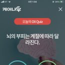 케어나우 네이버블로그