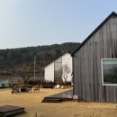 스테이제부 이미지