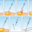 가디언 동물의료센터 이미지