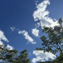 하나로마트(용안) 이미지