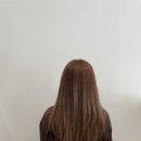 문쓰헤어 이미지