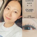 오래쉬(O’LASH) | 광주 속눈썹연장 오래쉬 만족후기