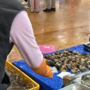 남선장 | [맛집후기] 노량진 손선장&amp; 초장집 거부식당