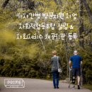 프라임 행정사사무소 | 가사간병 방문지원 사업, 사회적협동조합 설립과 사회서비스 제공기관 등록