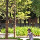 도심건축사사무소 이미지