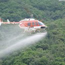 밤나무축산 이미지