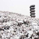 갯골수로1 이미지