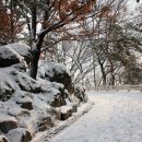 새마을근린공원 이미지