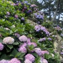 저구해안길 이미지