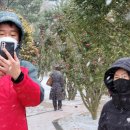 목포, 들렀던 곳(네이버맵 링크)
