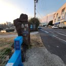 위미동백군락 | 제주 올레길 5코스 트레킹 후기 : 위미 동백나무 군락