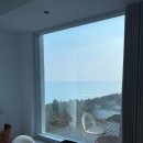 동굴목장 | [강릉 Day3] 2박 3일 여행 | 하운드호텔 | 초당소금빵 | 툇마루 | 김밥의신 | 대관령양떼목장