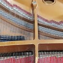 롯데이화음악학원 이미지