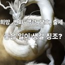 축복큰대운집 | 하얀 용이 꿈에 나타났다면? 대운이 찾아오는 길몽 모음🌿백룡