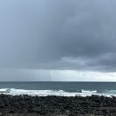 누리다 애견펜션 | 가성비 좋은 제주도 애견동반 독채 펜션 추천 - 개별 마당까지!