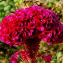 사회적협동조합 희망씨사람들 이미지