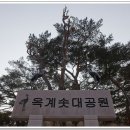 옥계공원 Daum카페
