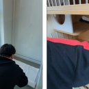 동물보육원 이미지