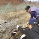 청보농장 이미지