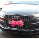 코뿔소카서비스 이미지