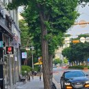 청암약국 이미지