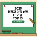 연봉도서관 | 🔍 2025 경력자 이직 선호 IT 기업 TOP 10 - 연봉, 채용부문, 입사 전략 총정리!