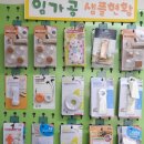 프란치스코의집 이미지