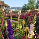 곡성-224 이미지