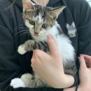 아가상사 이미지