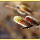 예원모텔 이미지