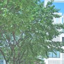 진한돼지국밥 이미지