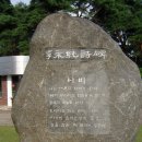 향산유원지 이미지