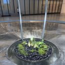 조형과 운동 | 국립현대미술관 전시관람 후기(2)_올해의 작가상 2025, 김창열 회고전