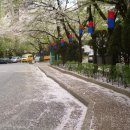 남광장공인중개사사무소 이미지